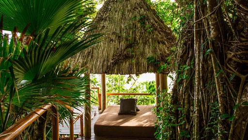 Dream House Grand Villa Andere 