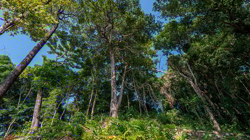 Eagles Nest Surroundings