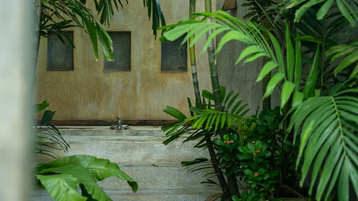 Ebb Jungalow Schwimmbad