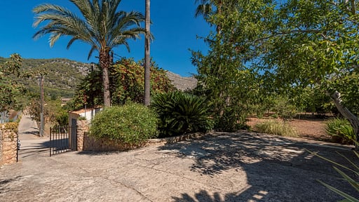 El Coste Felip Others