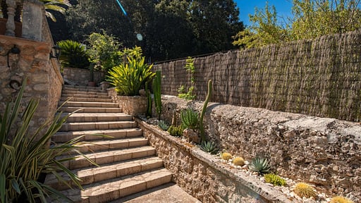 El Coste Felip Others