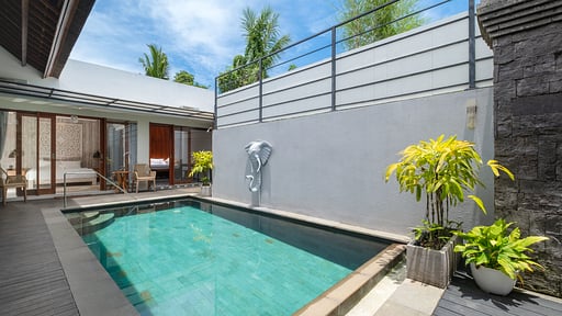 Elephant Villas Estate Swimming pool 2
