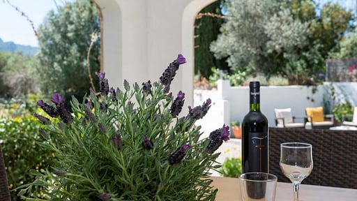 ELS GORGS PETIT Others