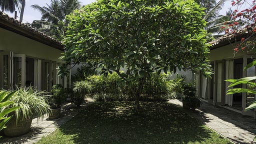 Elysium Villa Garden