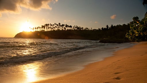 Eraeliya Villas Garten