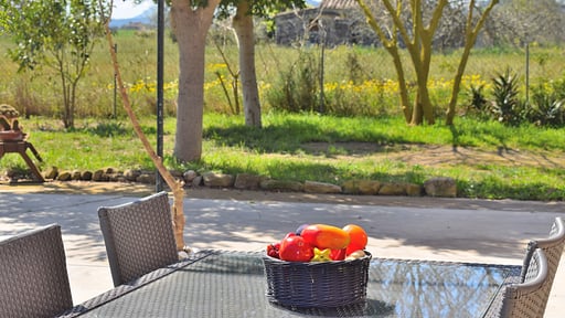 Finca Es Camp Pla Прочее 