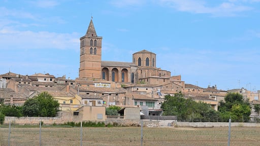 Finca Es Camp Pla Прочее 