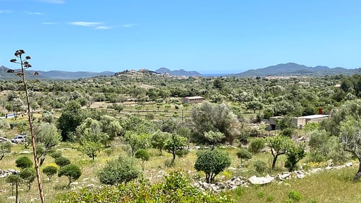 Finca Aderu Surroundings