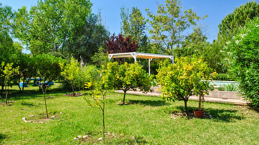 Finca Baragrania Garden