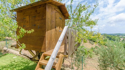 Finca Cala Dor Others