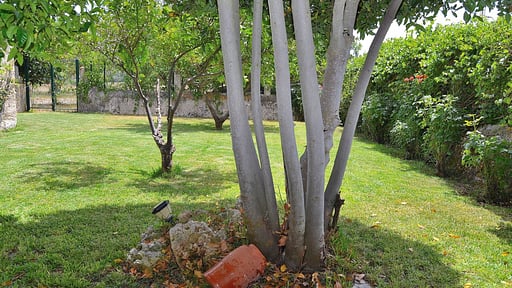 Finca Can Blanc Andere