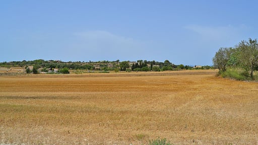 Finca Can Blanc Andere