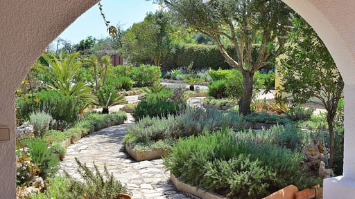 Finca Can Burguet Garten