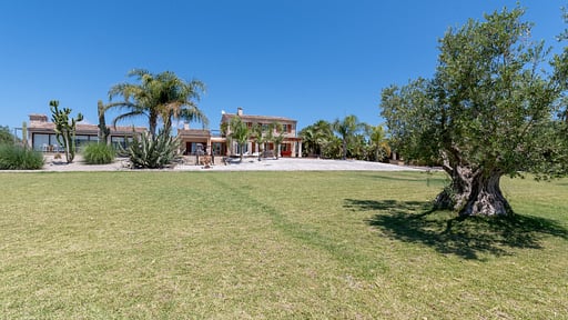 Finca Can Oliva Garten