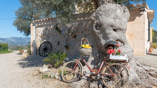 Finca Can Rebasso Others