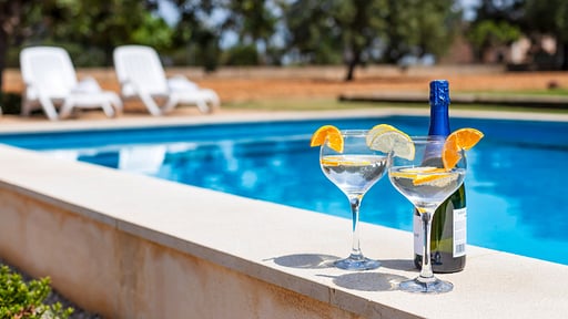 Finca Can Soler Autres