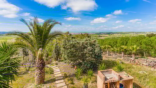 Finca Can Tomeu Surroundings