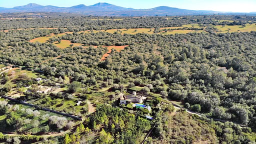 Finca Can Xisco Domatiga Photos aériennes