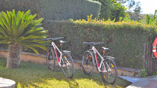 Finca Can Xisco Domatiga Autres