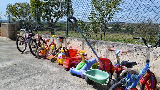 Finca Es Bosquerró Others