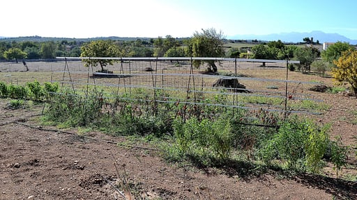 Finca Es Bosquerró Others