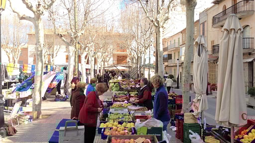 Finca Es Bosquerró Others