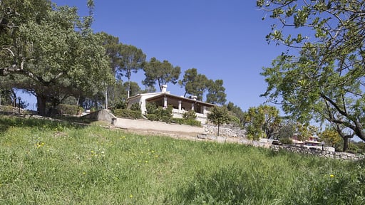 Finca Es Bosquet Others