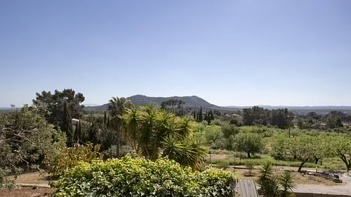 Finca Es Bosquet Others