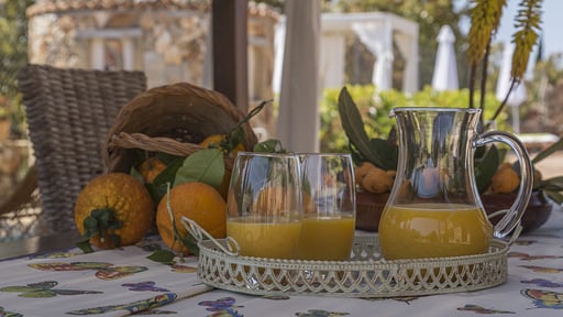 Finca Es Moya des Pins Прочее