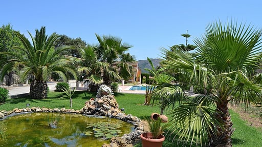 Finca Es Pinaret Garden
