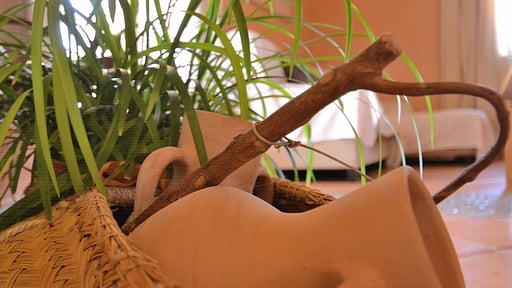 Finca Estret Прочее