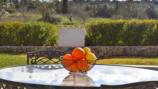 Finca Son Alcaines Petit Terrace/Veranda