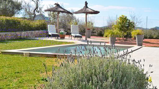 Finca Son Alcaines Petit Swimming pool