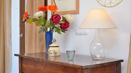 Finca Son Alcaines Petit Others