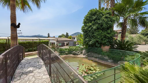 Finca Morell Vell Otros