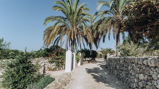 Finca Llubi Alrededores