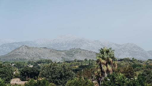 Finca Llubi Alrededores