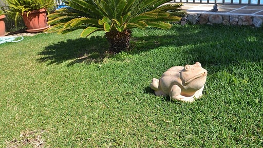 Villa Tramuntana Сад