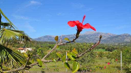 Villa Tramuntana Сад