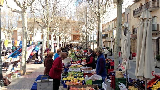 Finca Barranc Son Fullós Others