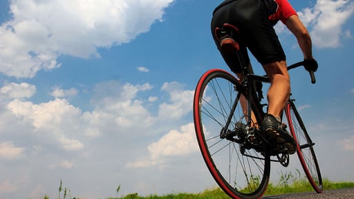 Finca Barranc Son Fullós Others