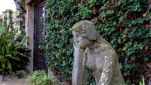 Finca Plana Morro Others