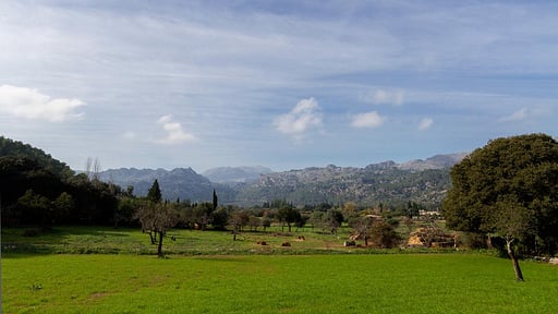 Finca Plana Morro Others