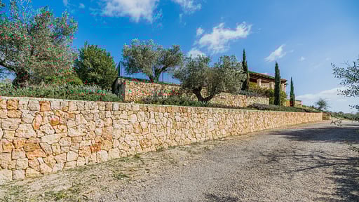 FINCA PUIG BLANC Others