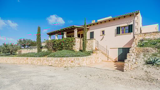 FINCA PUIG BLANC Others