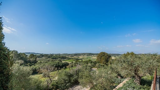 FINCA PUIG BLANC Others