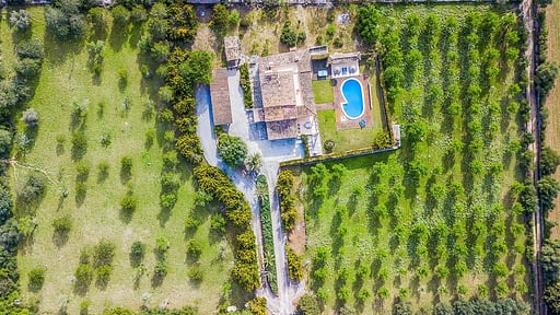 Finca Rafalet Drone pictures