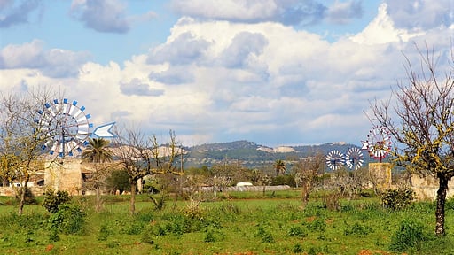 Finca Can Palea Others