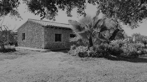 Finca Sa Figuera Blanca Otros