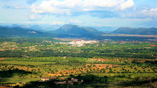 Finca Sa Figuera Blanca Otros